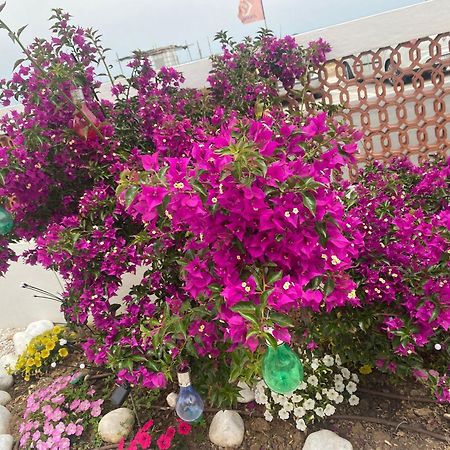 מונטמרצ'יאנו Maison Armandi מראה חיצוני תמונה
