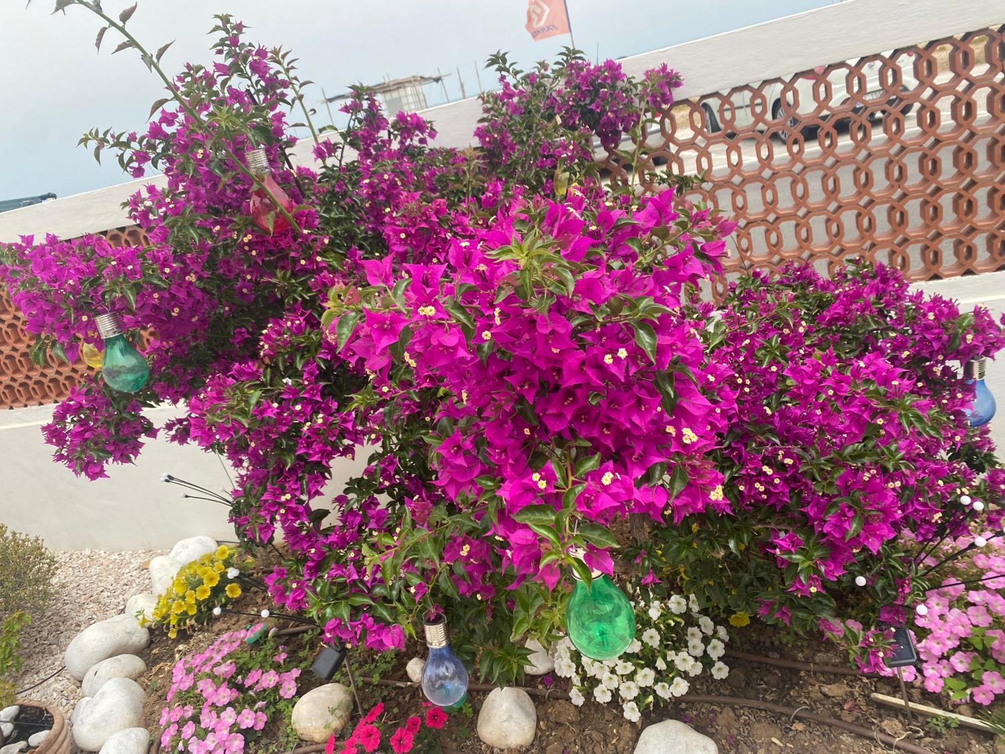 מונטמרצ'יאנו Maison Armandi מראה חיצוני תמונה